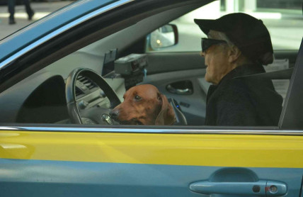 Zdravotní prohlídky seniorů: Až v sedmdesáti! Co je třeba zkontrolovat?